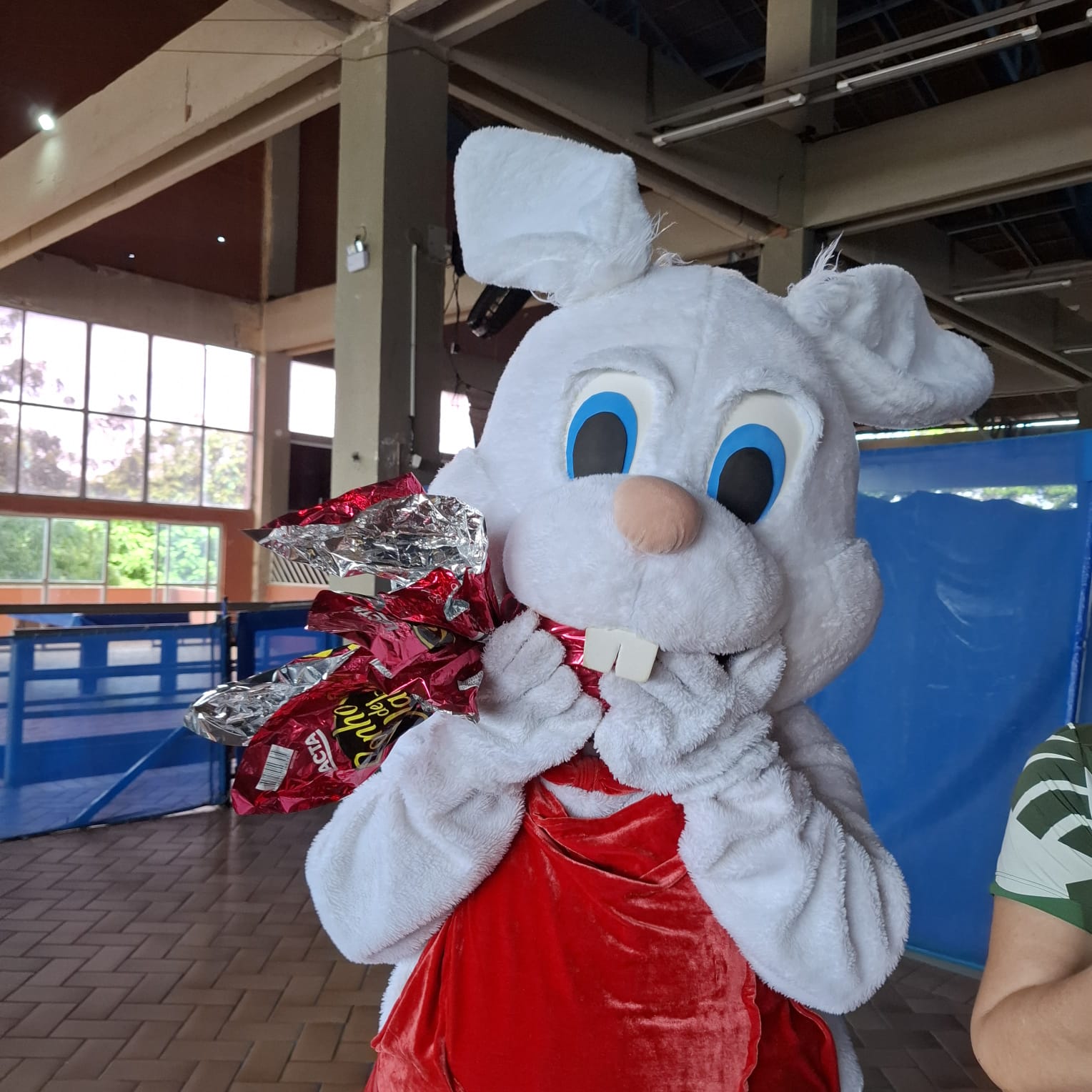 WhatsApp Image 2026-04-08 at 16.56.45 _1_.jpeg